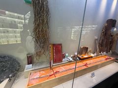 -广东中医药博物馆