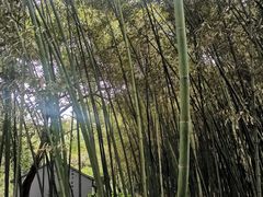 -兰亭风景区