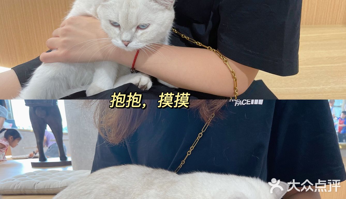 周末还不知道去哪里❓长沙这个超壕的宠物乐园