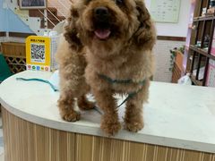 -总动员动物医院(宝丰院店)