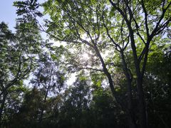 -森林公园(尖草坪区)