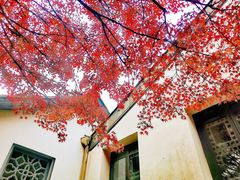 -惠山古镇·寄畅园