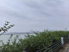 -贡湖湾湿地公园