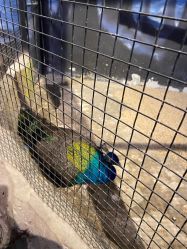 -酷嗒动物文化乐园(cutezoo西溪乐天城店)