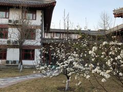 -寿山福海养老服务中心(石景山院)
