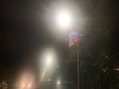 -艾溪湖湿地公园