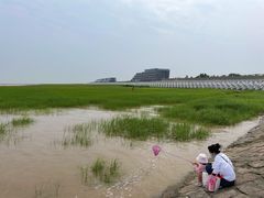 -南汇嘴观海公园