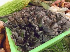 -昆虫窝子·特色云南菜(拓东路总店)