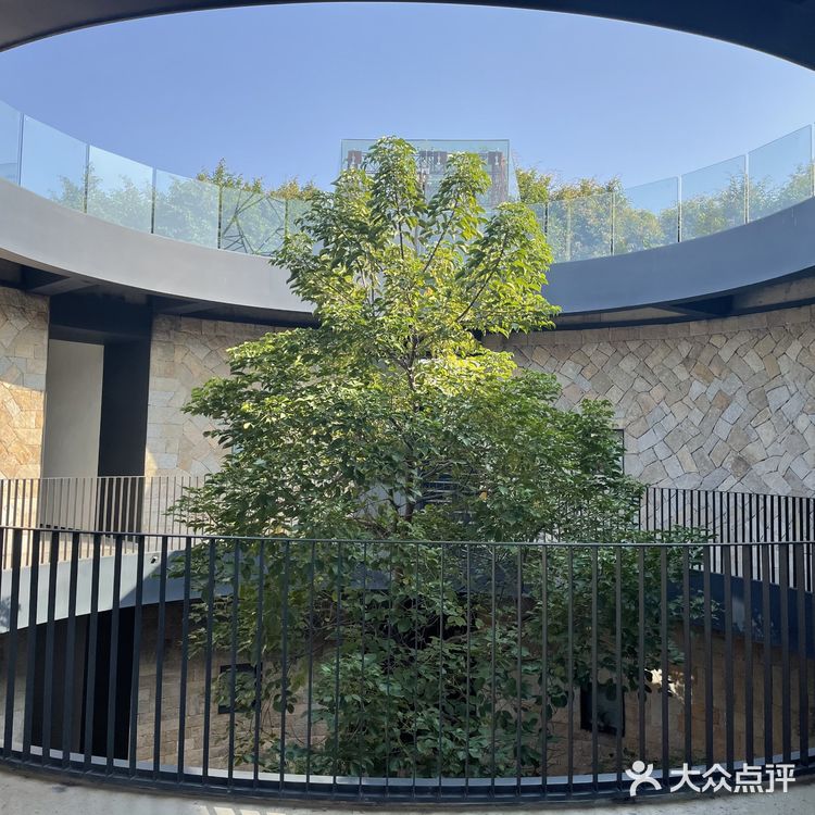 泉州晋江|这不只是吃饭是设计之光|巨石餐厅|由心