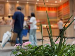 -比斯特上海购物村精品奥特莱斯