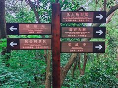 -吴山景区