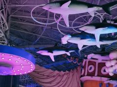 -烟台海昌鲸鲨海洋公园