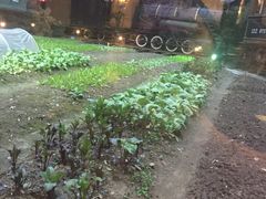 -上海老站(徐家汇店)