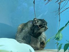 -青藏高原野生动物园