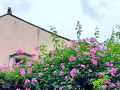 -老门东历史文化街区