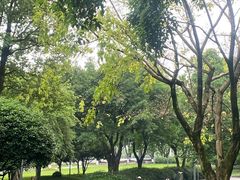 -重庆中央公园(渝北区)