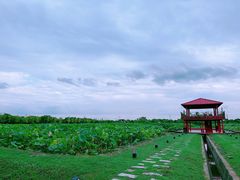 -嘉北郊野公园