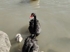 -上海野生动物园