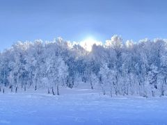 -塞罕坝国家级自然保护区