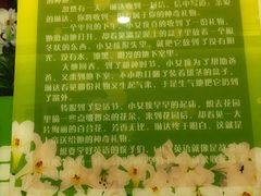 -LILY英语思维馆(玉泉路店)