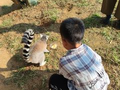 -秦皇岛野生动物园