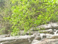 -狼牙山风景区