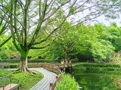 -望江楼公园