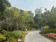 -晓港公园