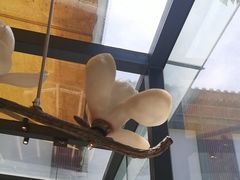 -唐猫庭院·千年陕菜(大唐不夜城店)