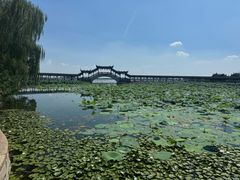 -观桥阁(锦溪店)