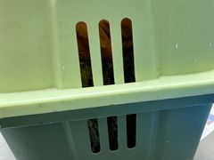 -纳吉亚猫专科动物诊疗中心(蒋宅口分院)