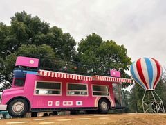 -铁山坪森林公园