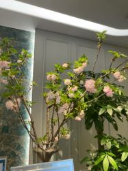 点击看大图 -伊丽汇