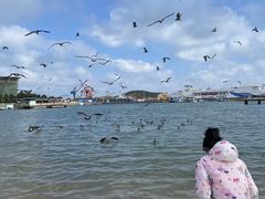 -海驴岛(荣成市)