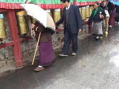 -罗布林卡
