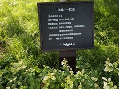 -元大都城垣遗址公园