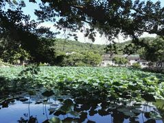 -普陀山风景名胜区-法雨禅寺