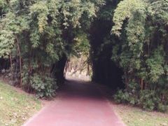 -两河城市森林公园