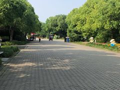 景点-上海海湾国家森林公园