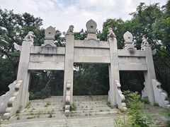 -北京西山国家森林公园