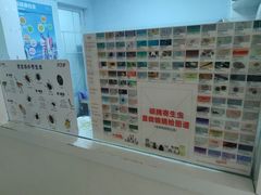 -爱贝特动物医院·猫口炎专科