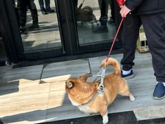 -爱侣宠医·鹦鹉专科·小型哺乳类·异宠专科(灵石路店)