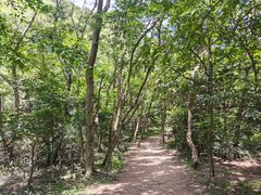 -梧桐山风景名胜区