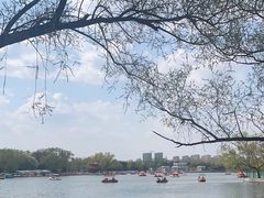 -北陵公园