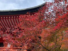-醍醐寺
