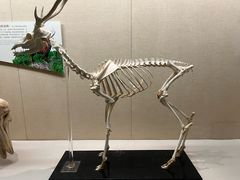 -广东省博物馆