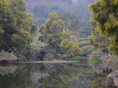 -张坝桂圆林公园