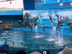 -石林冰雪海洋世界