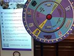 -宠爱国际动物医院· 猫科· 外科·中兽医(长白店)