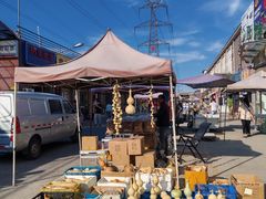 -中环花鸟鱼虫市场